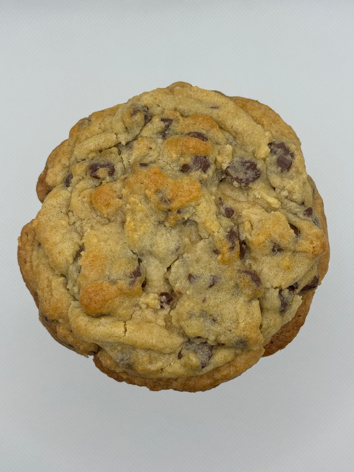 Chocolate Chip